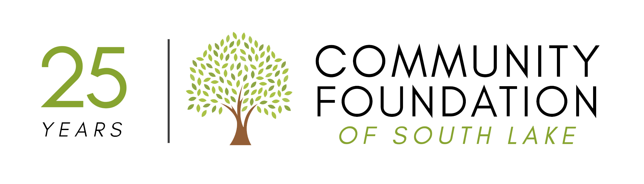 Community Foundation Of South Lake