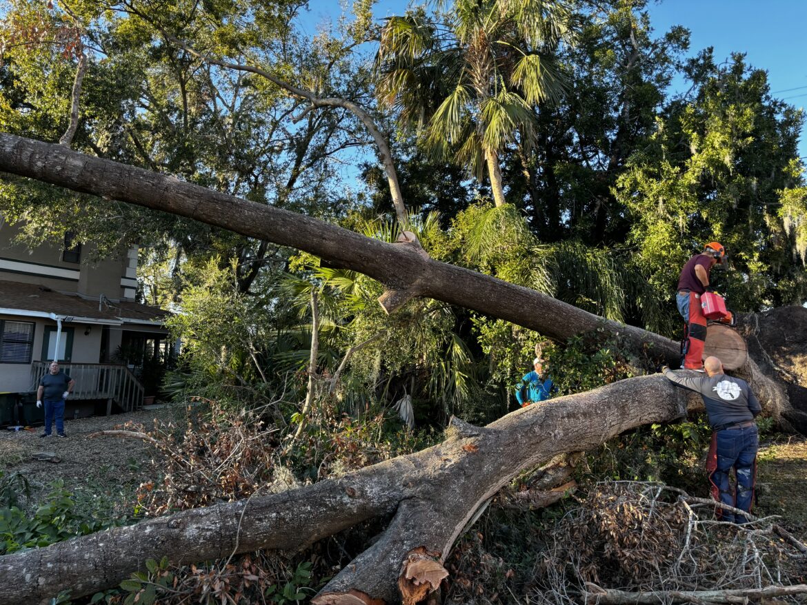 South Lake Cares Hurricane Clean Up